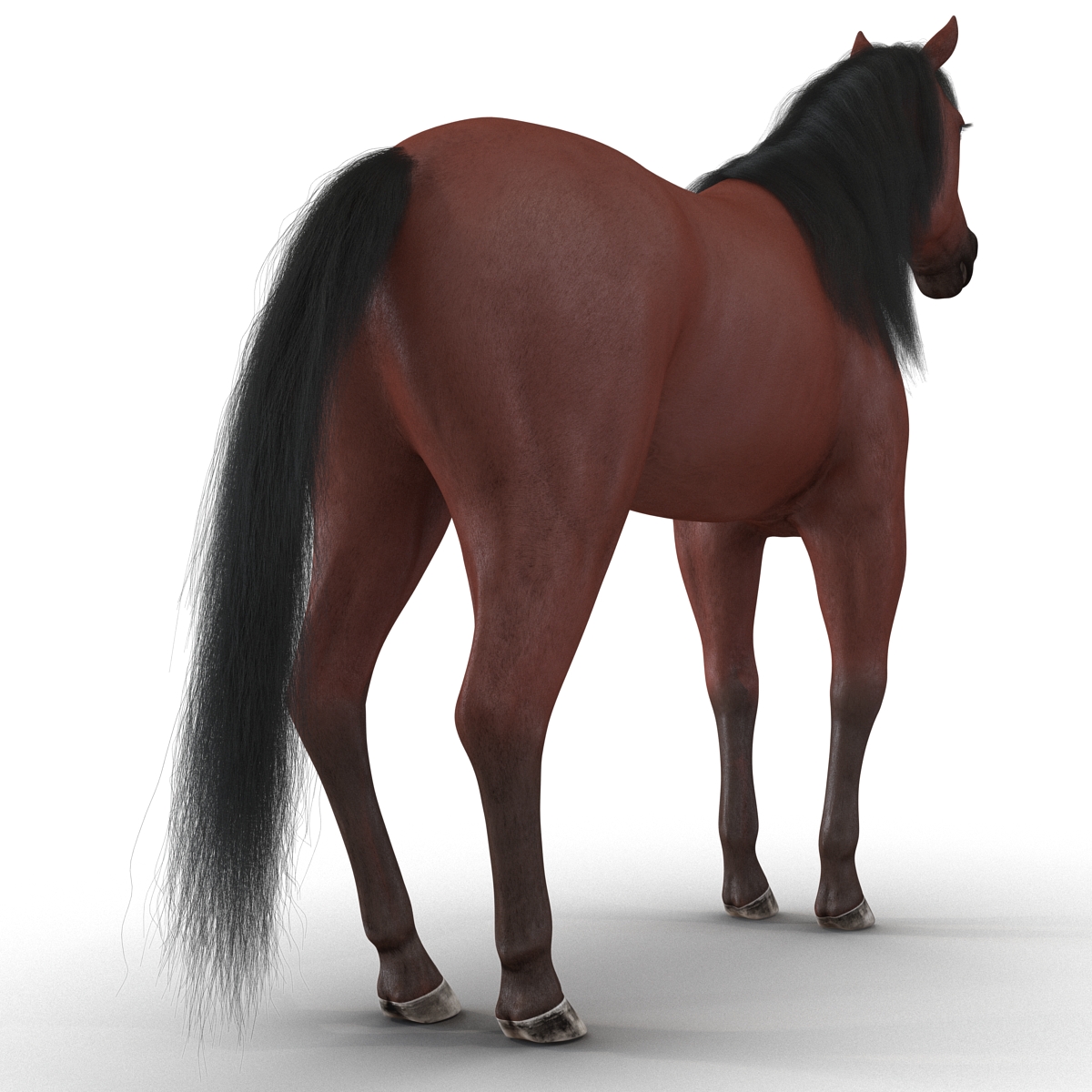 Horse with Fur 3D model