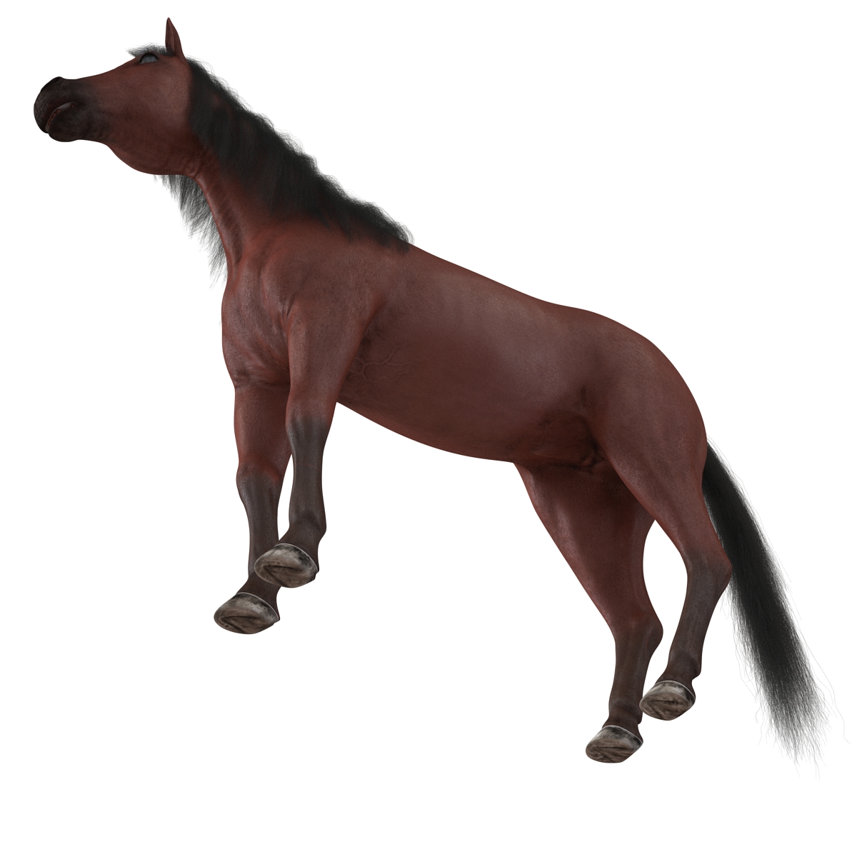 Horse with Fur 3D model