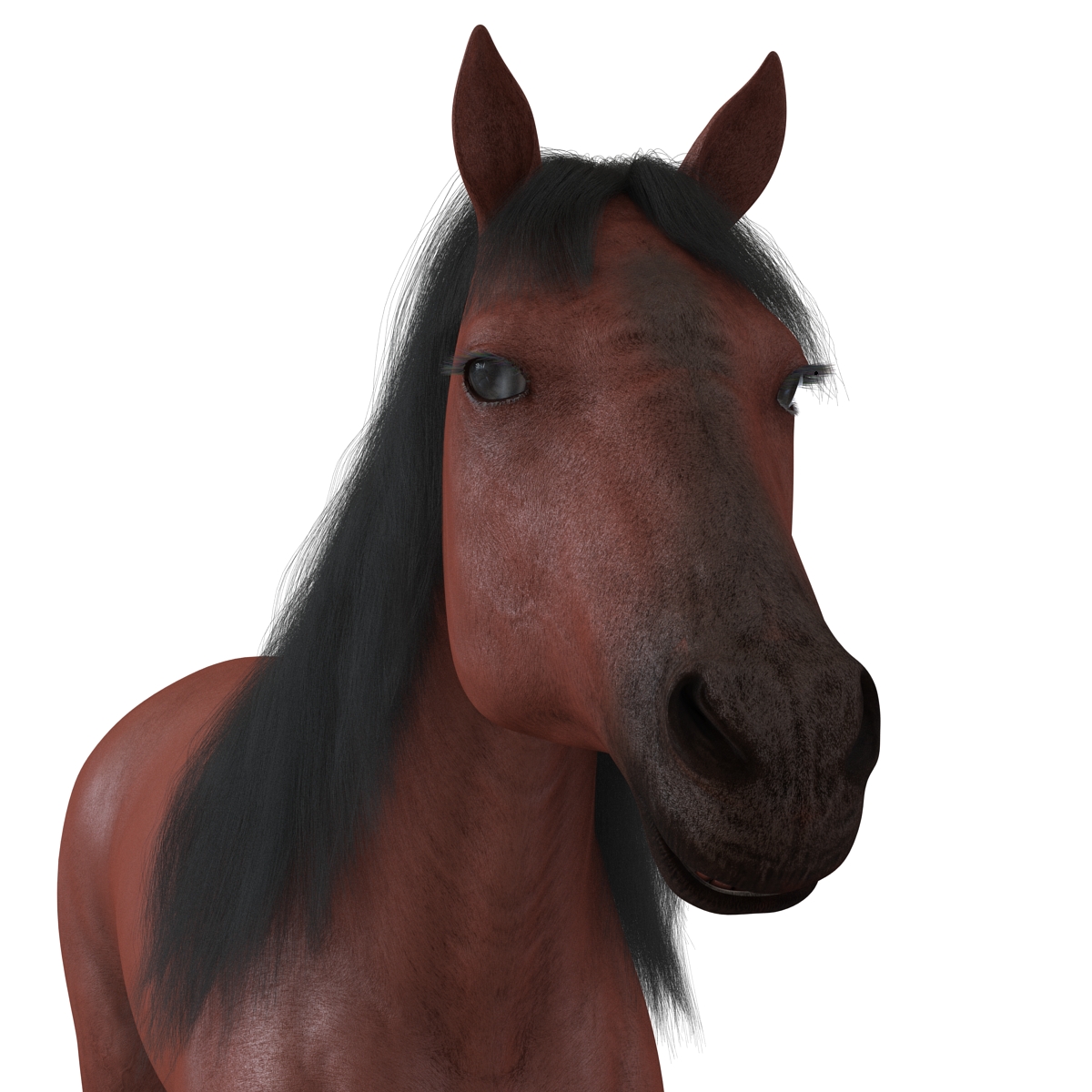 Horse with Fur 3D model