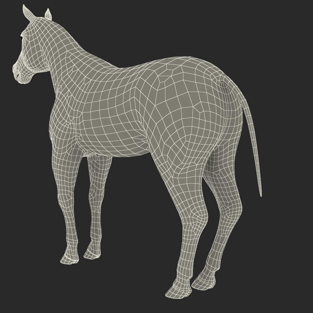 Horse with Fur 3D model