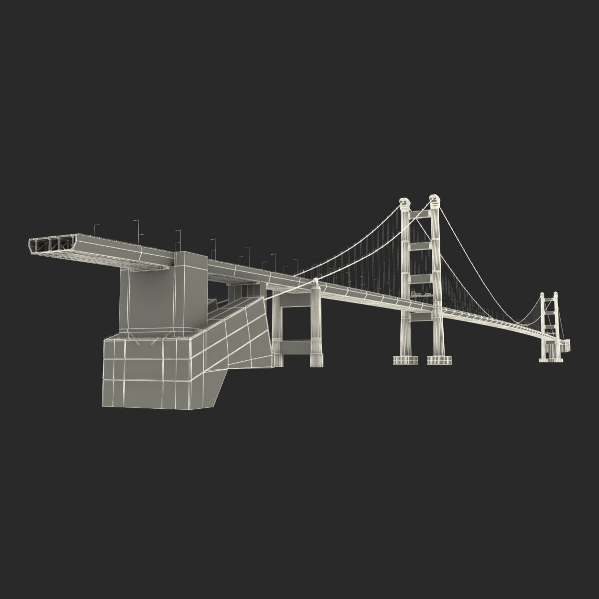 3D model Tsing Ma Bridge