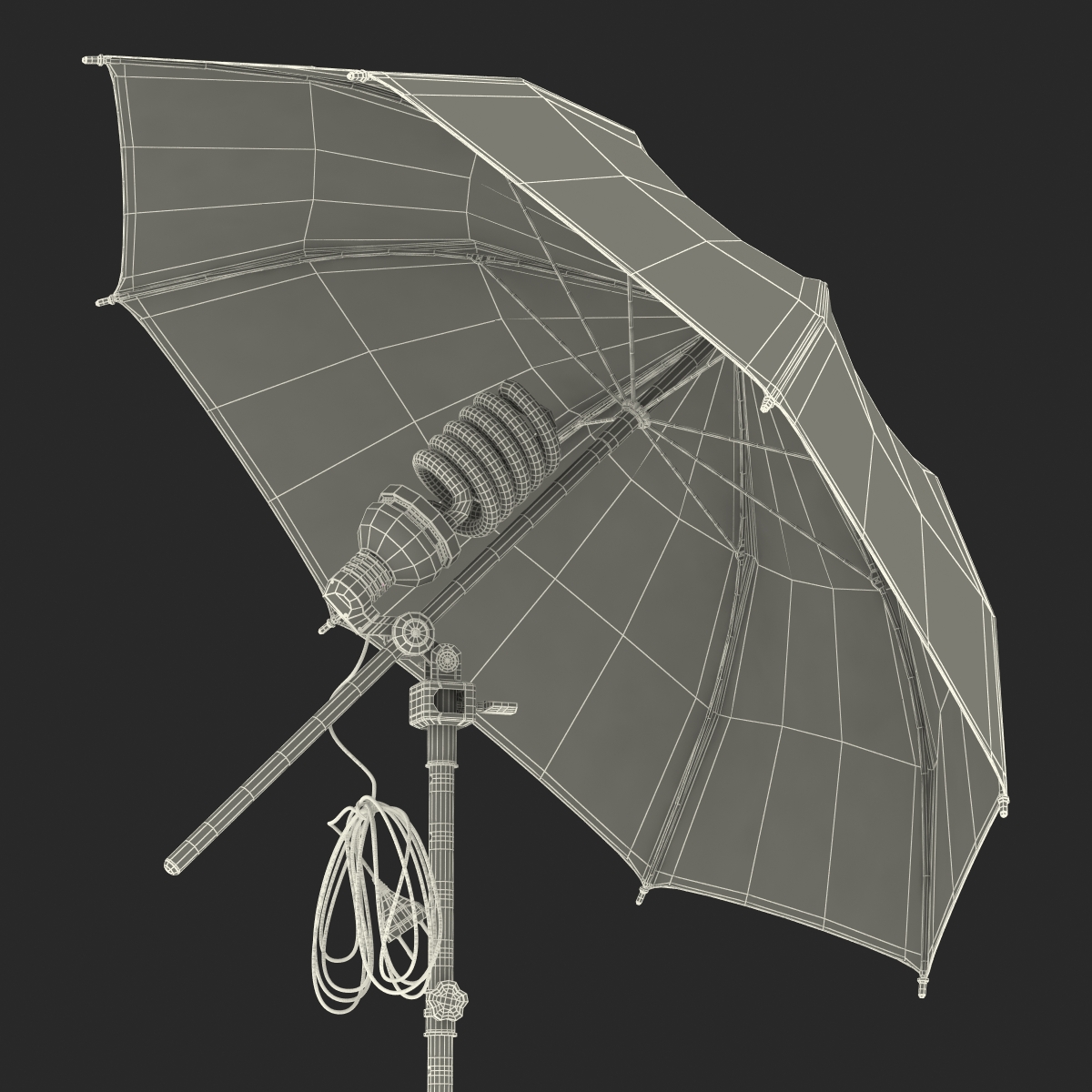 3D model Photo Studio Lighting Umbrella