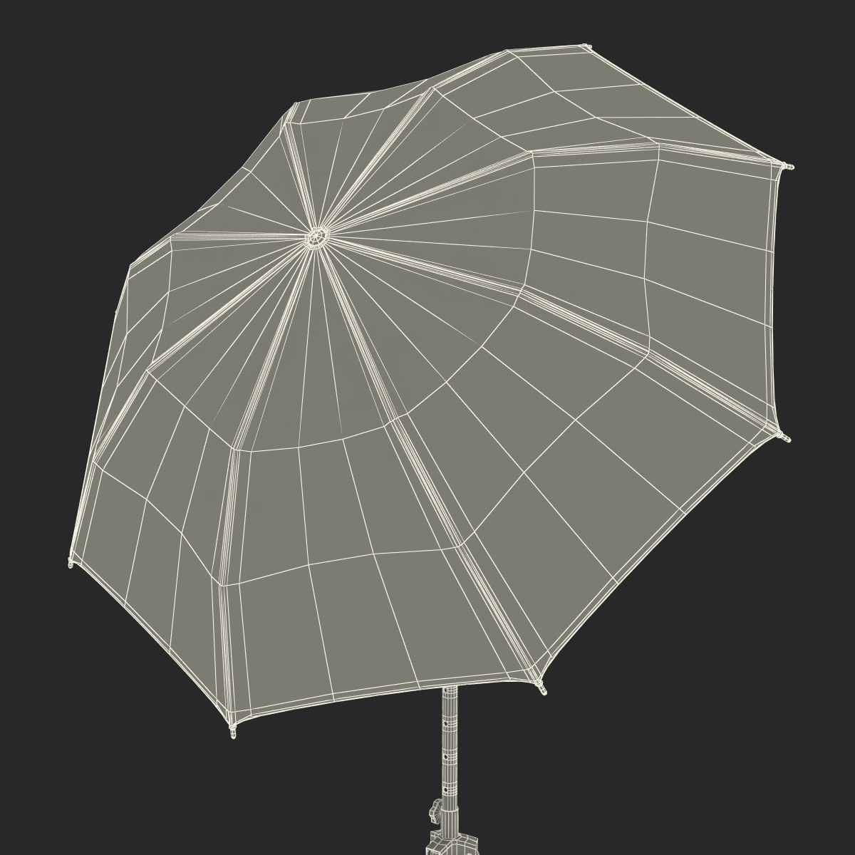 3D model Photo Studio Lighting Umbrella