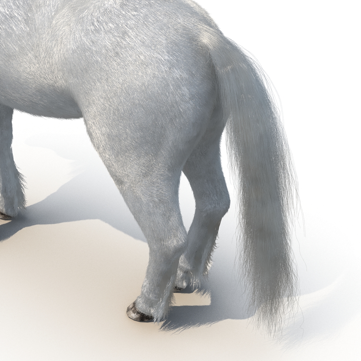 White Horse with Fur 2 3D