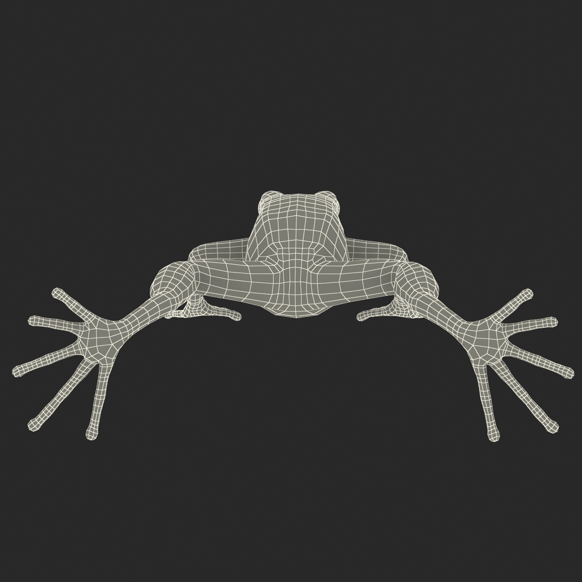 3D Mantella Frog model