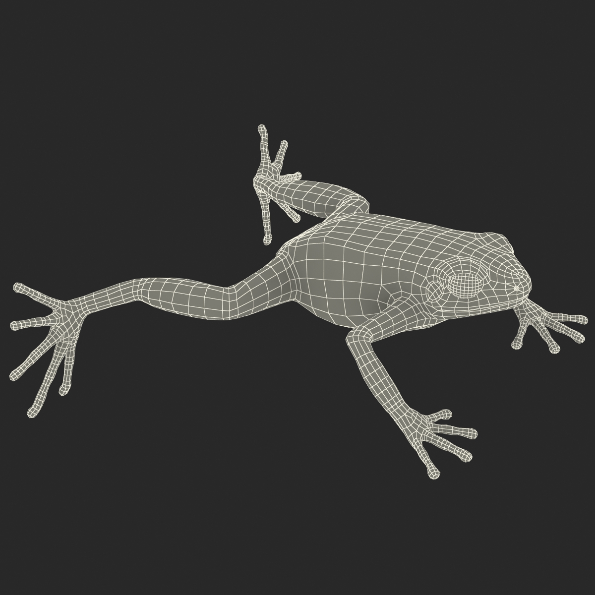 3D Mantella Frog model