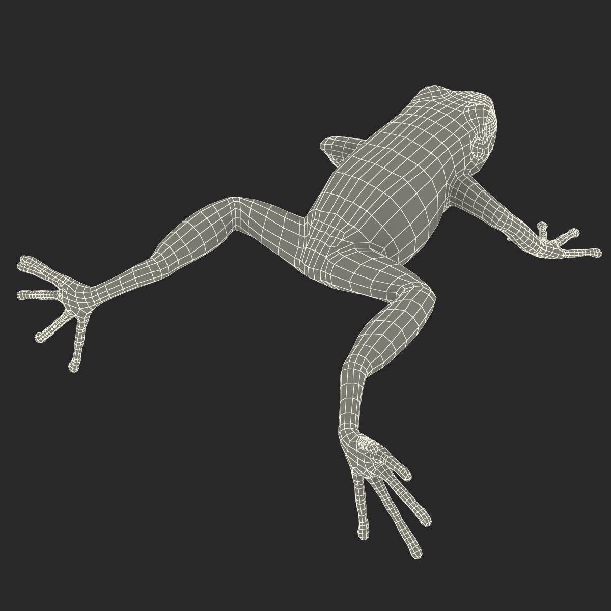 3D Mantella Frog model