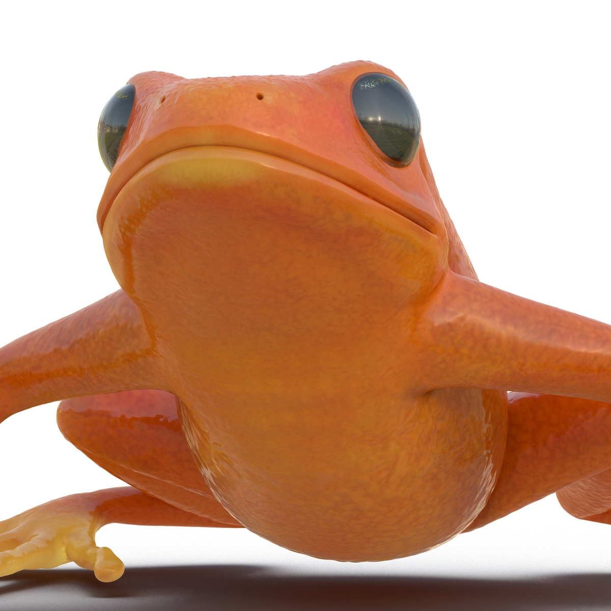 3D model Mantella Frog Pose 2