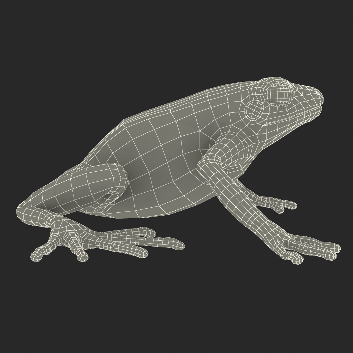 3D model Mantella Frog Pose 2