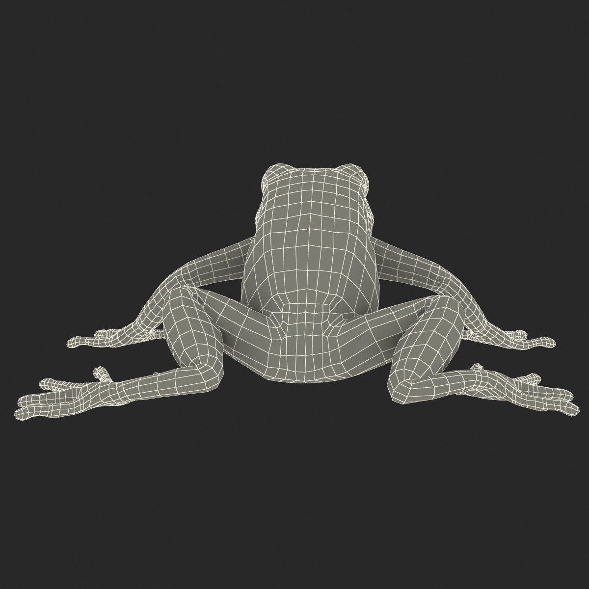 3D model Mantella Frog Pose 2