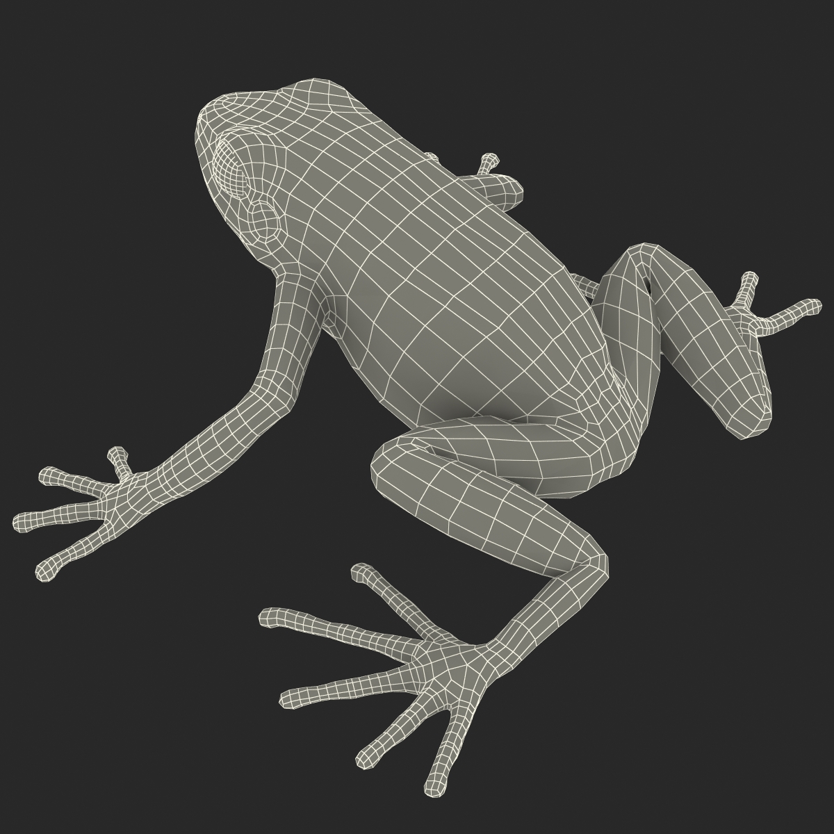 3D model Mantella Frog Pose 2