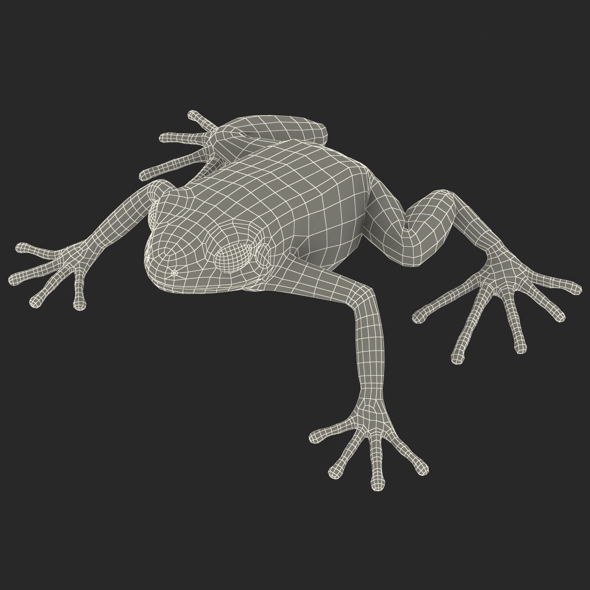 3D model Mantella Frog Pose 2