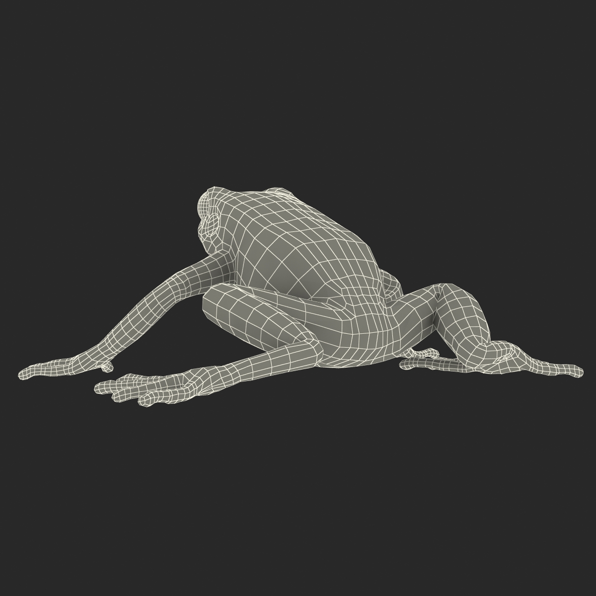 3D model Mantella Frog Pose 2