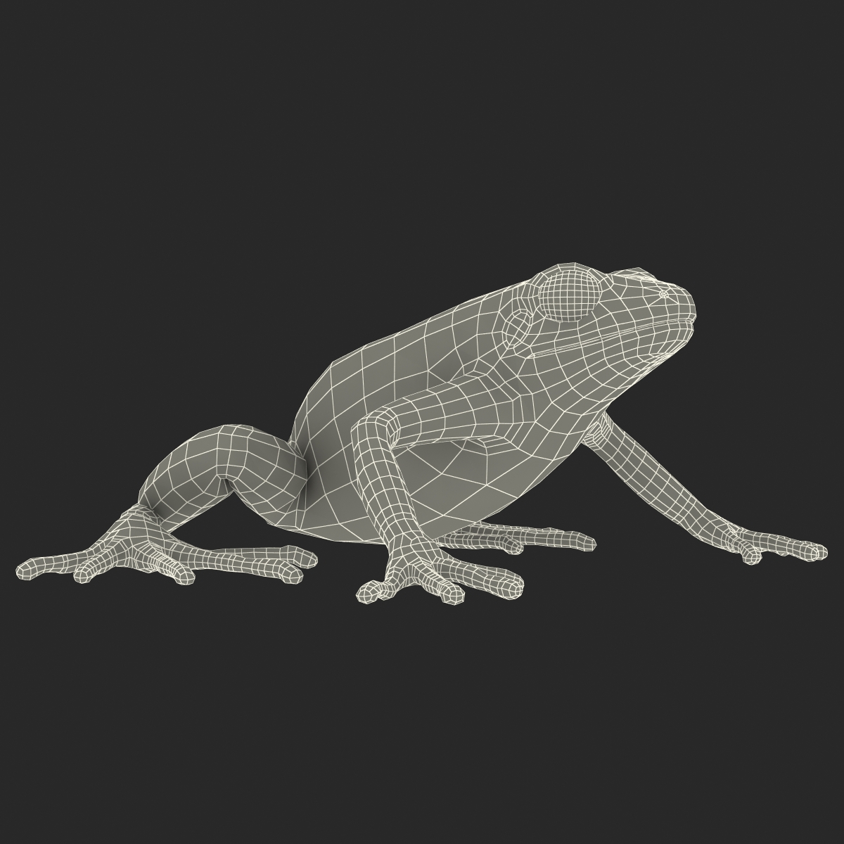 3D model Mantella Frog Pose 2