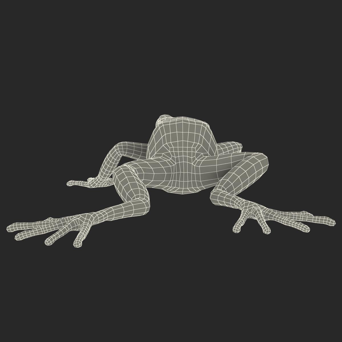 3D model Mantella Frog Pose 3