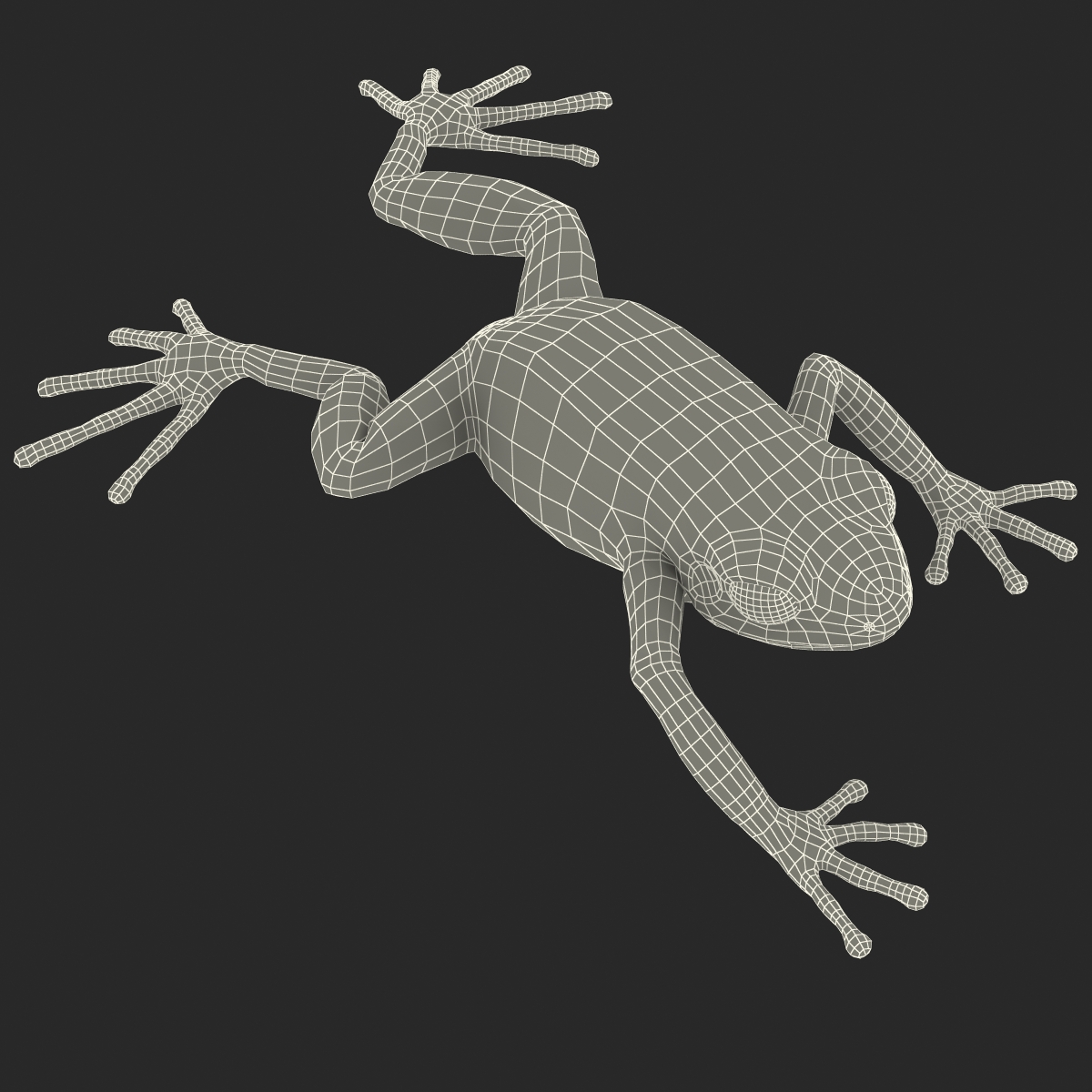 3D model Mantella Frog Pose 3