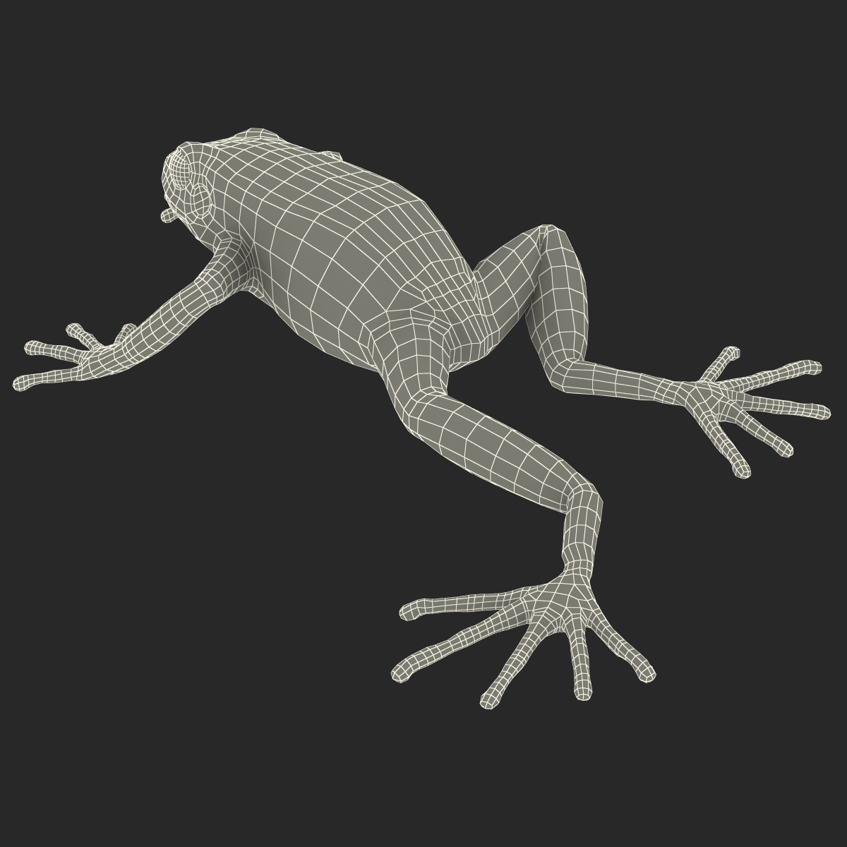 3D model Mantella Frog Pose 3