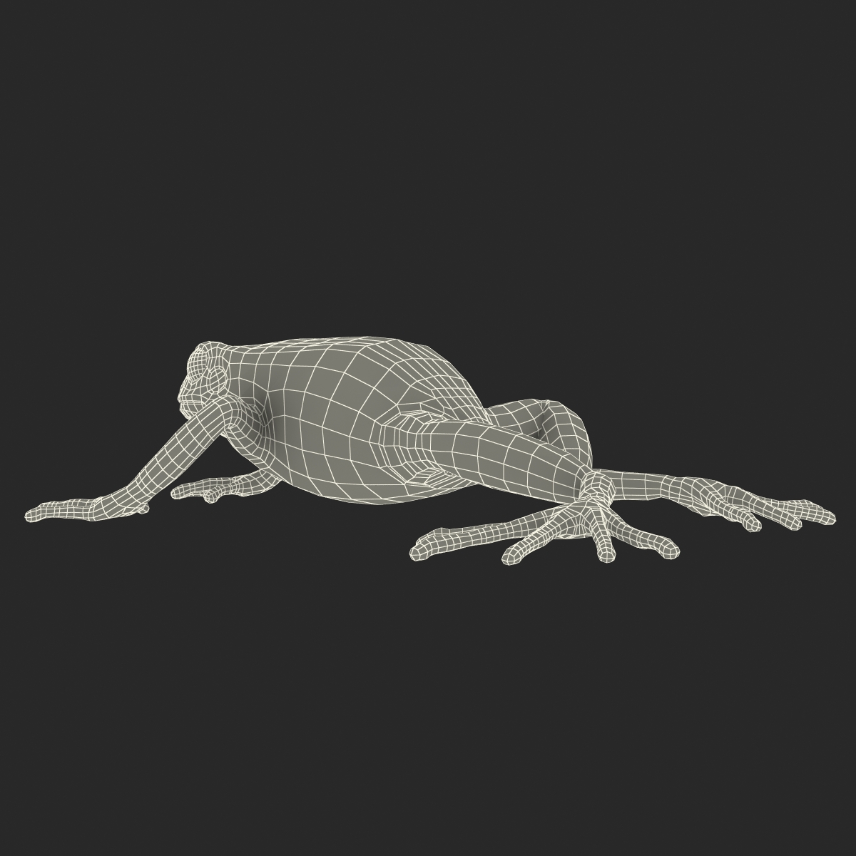 3D model Mantella Frog Pose 3