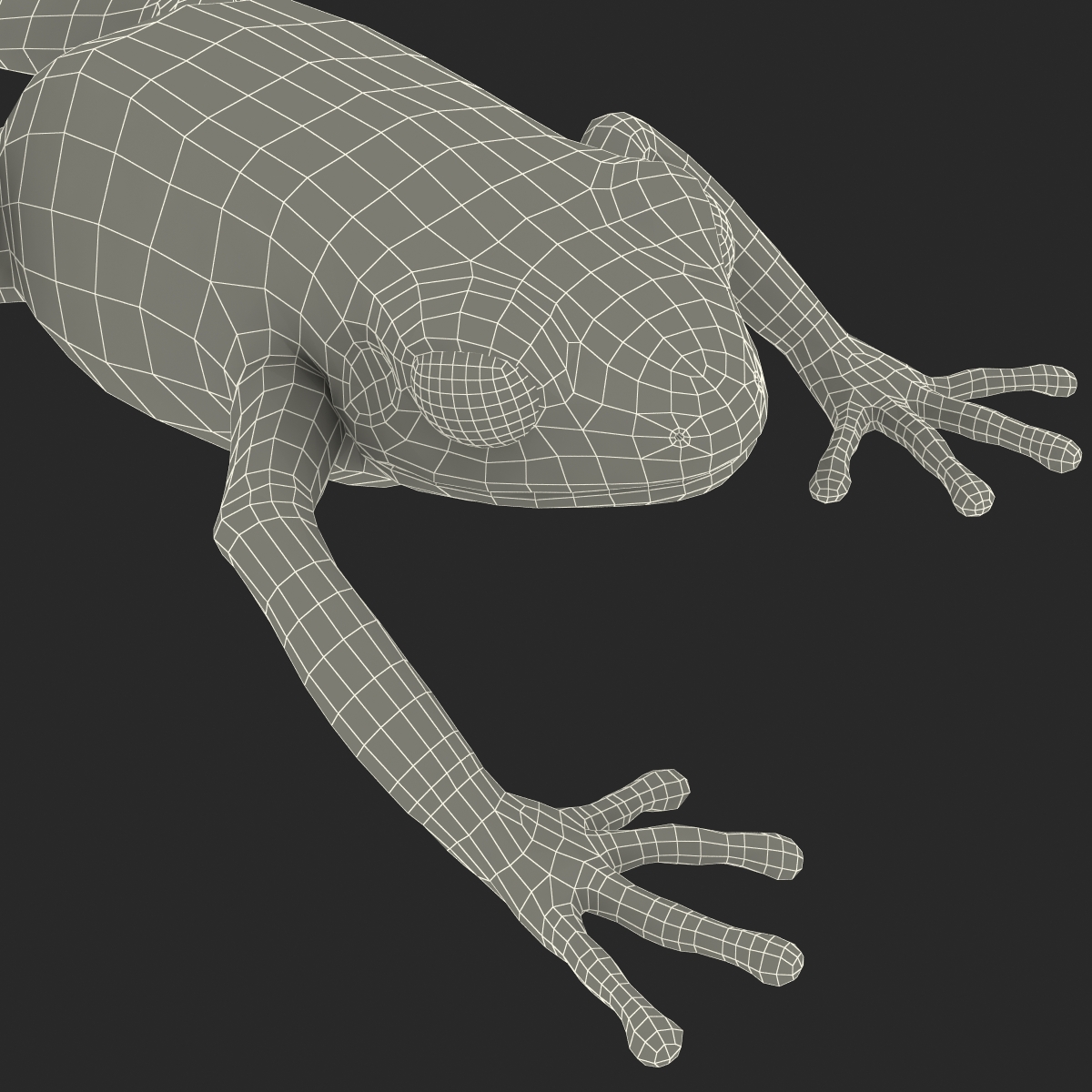 3D model Mantella Frog Pose 3