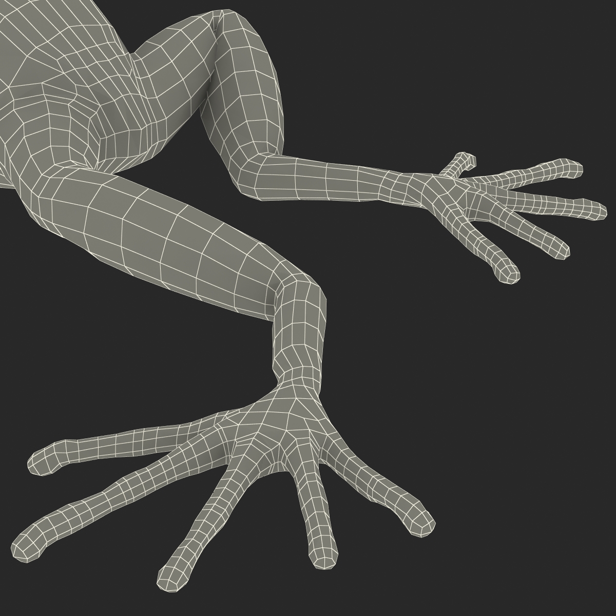 3D model Mantella Frog Pose 3