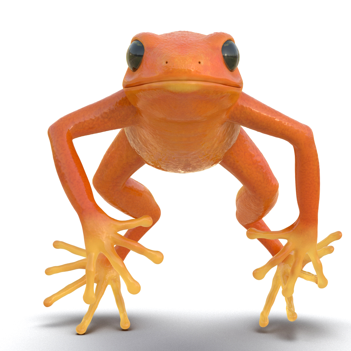 3D model Mantella Frog Pose 4