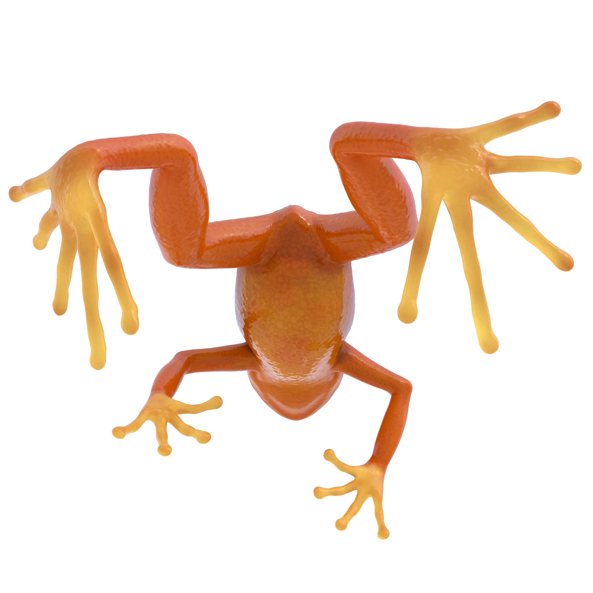 3D model Mantella Frog Pose 4