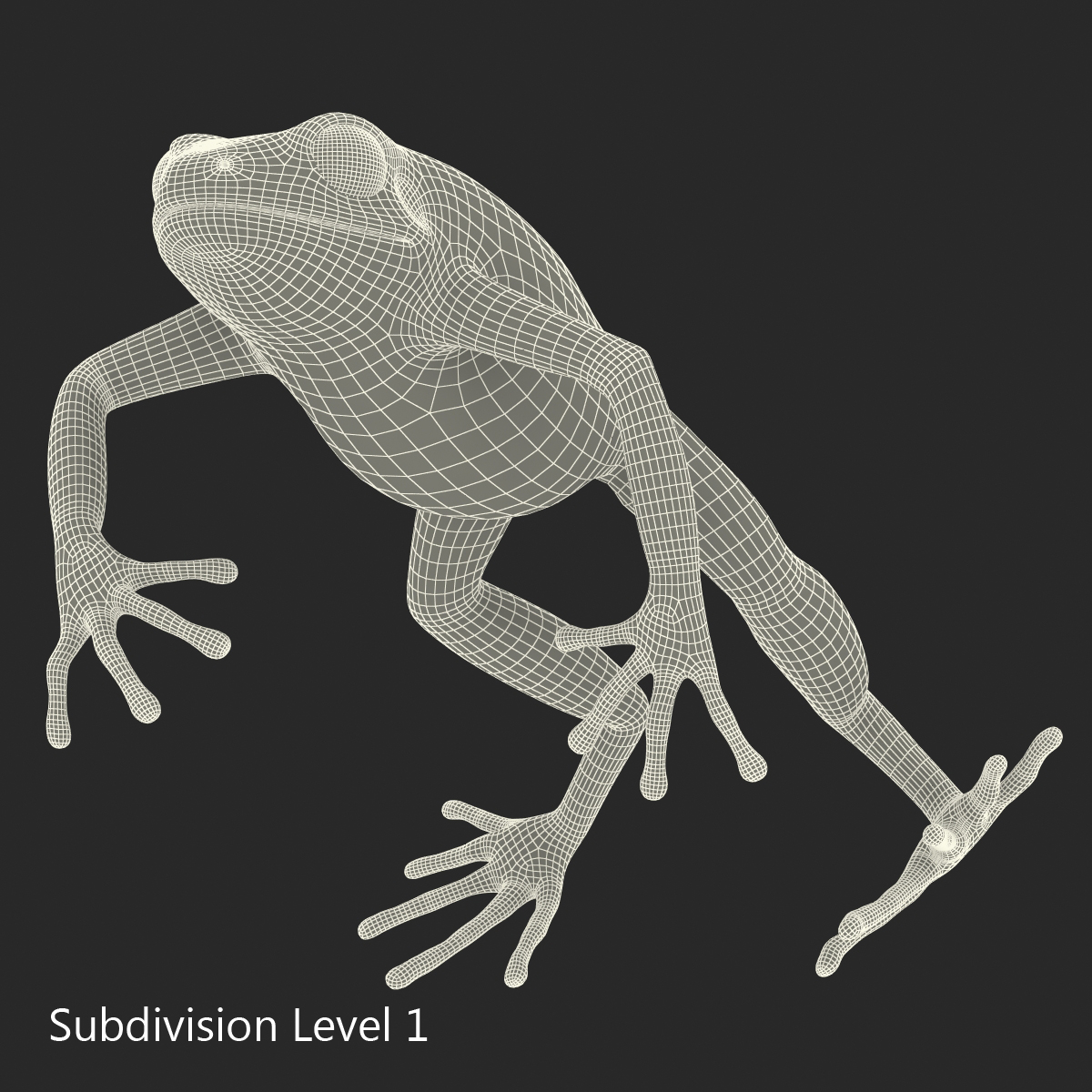 3D model Mantella Frog Pose 4