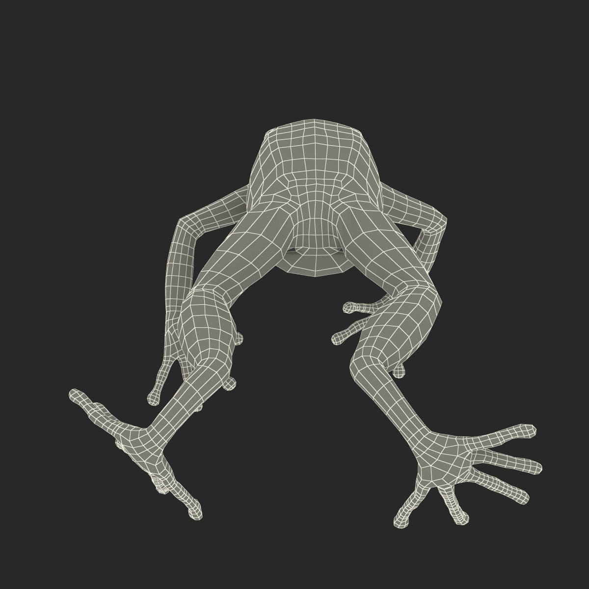 3D model Mantella Frog Pose 4