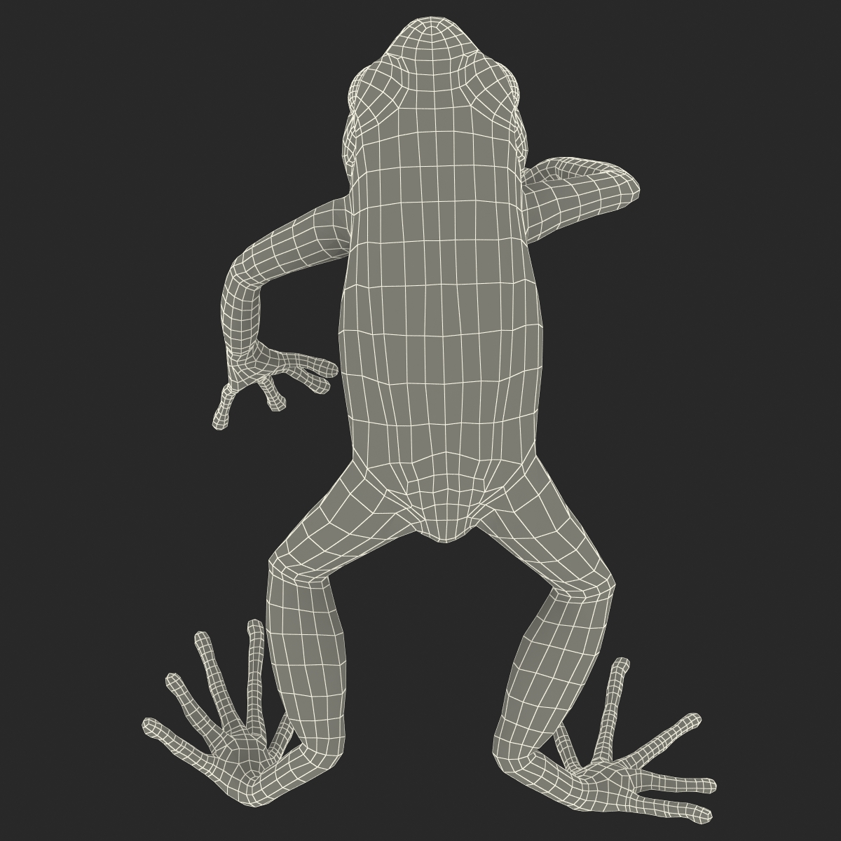 3D model Mantella Frog Pose 4