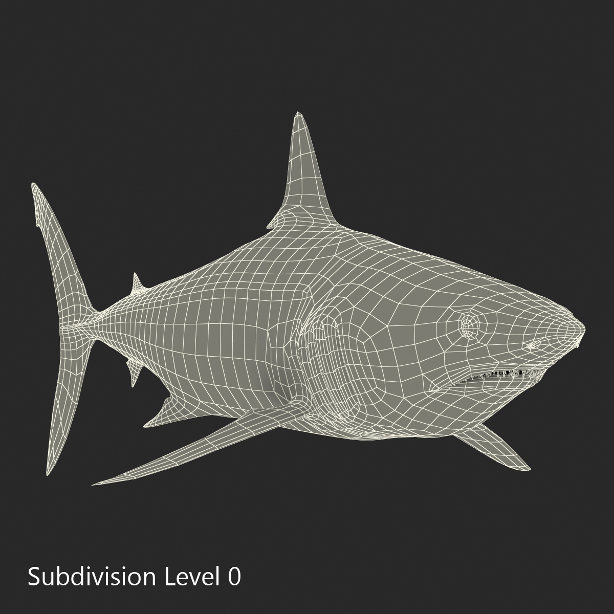 3D Shortfin Mako Shark 2