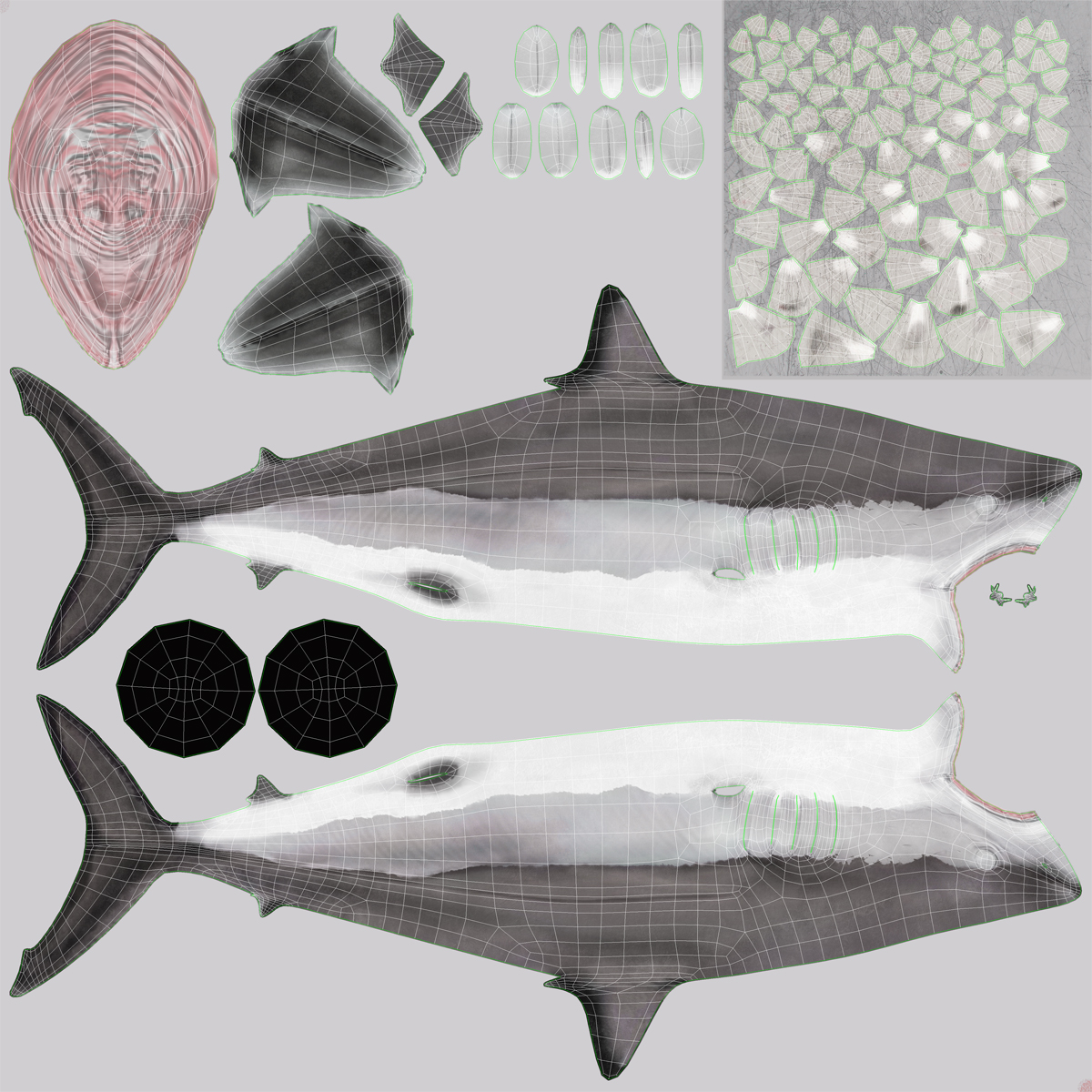 3D Shortfin Mako Shark 2