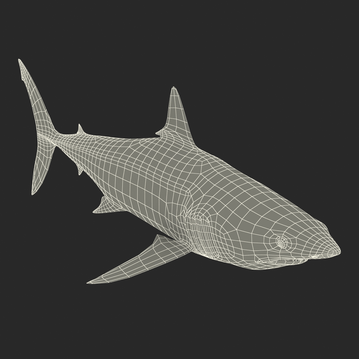 3D Shortfin Mako Shark 2