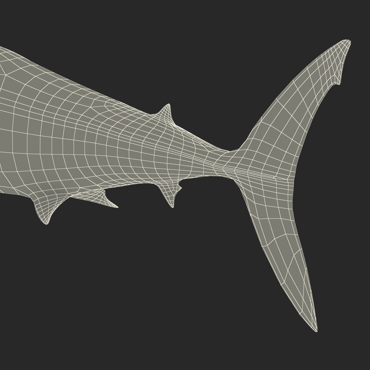 3D Shortfin Mako Shark 2