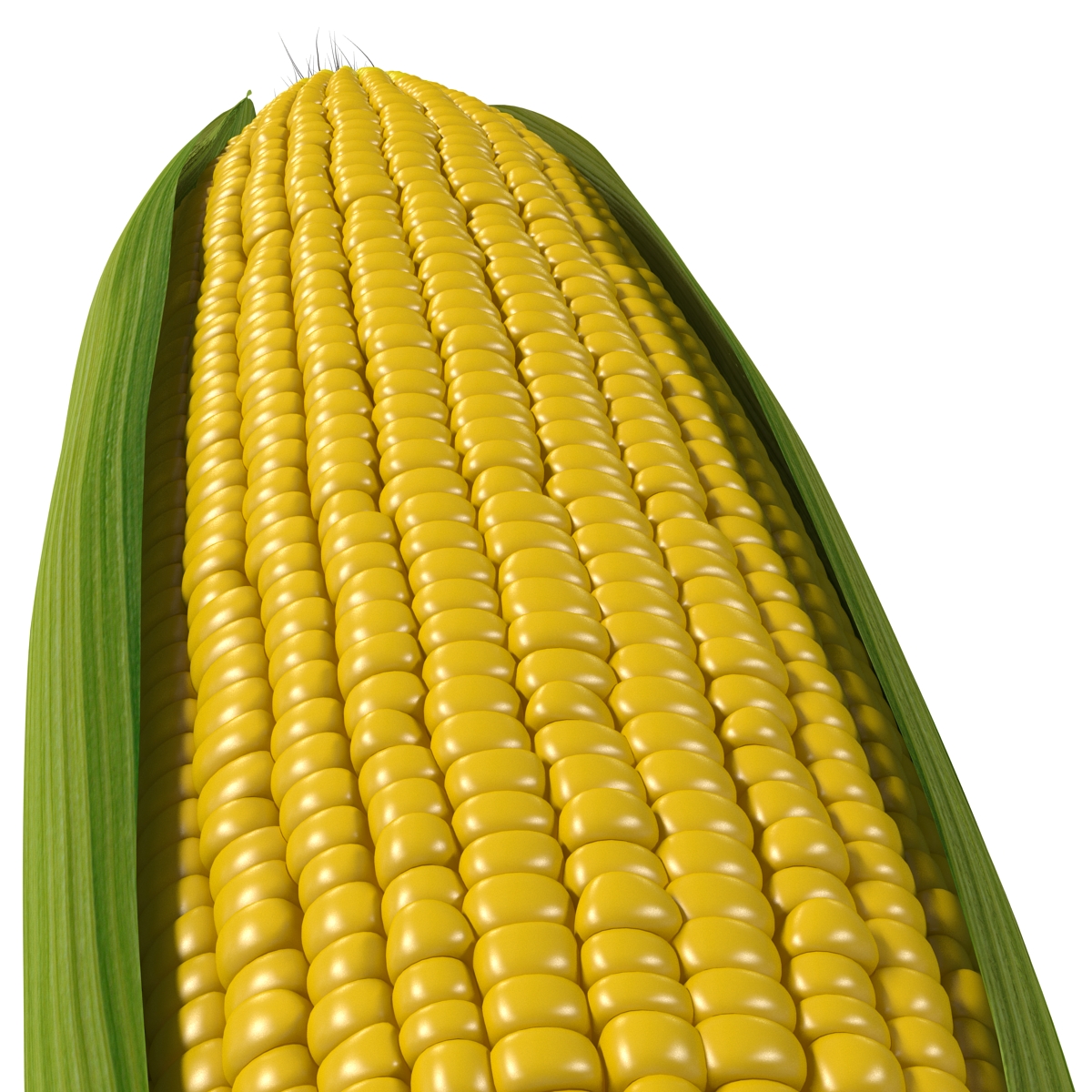 3D model Corn 2