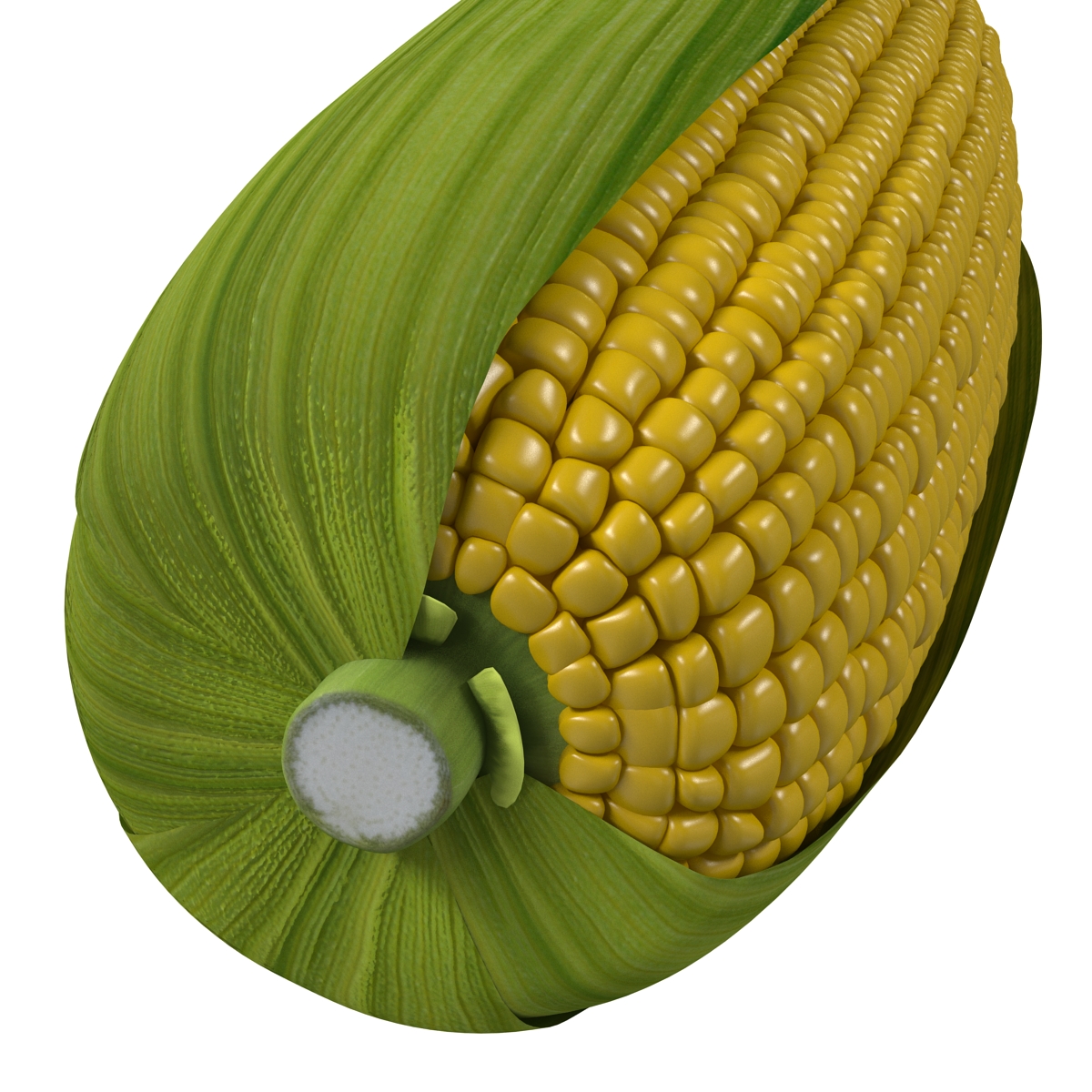 3D model Corn 2