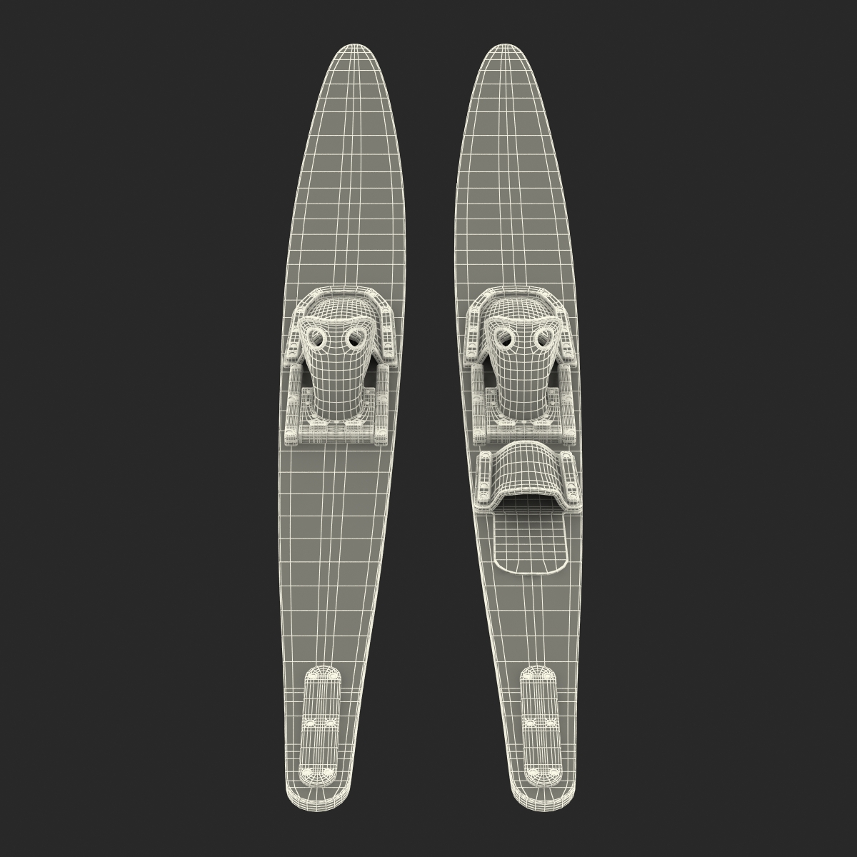 Waterskis HO 3D