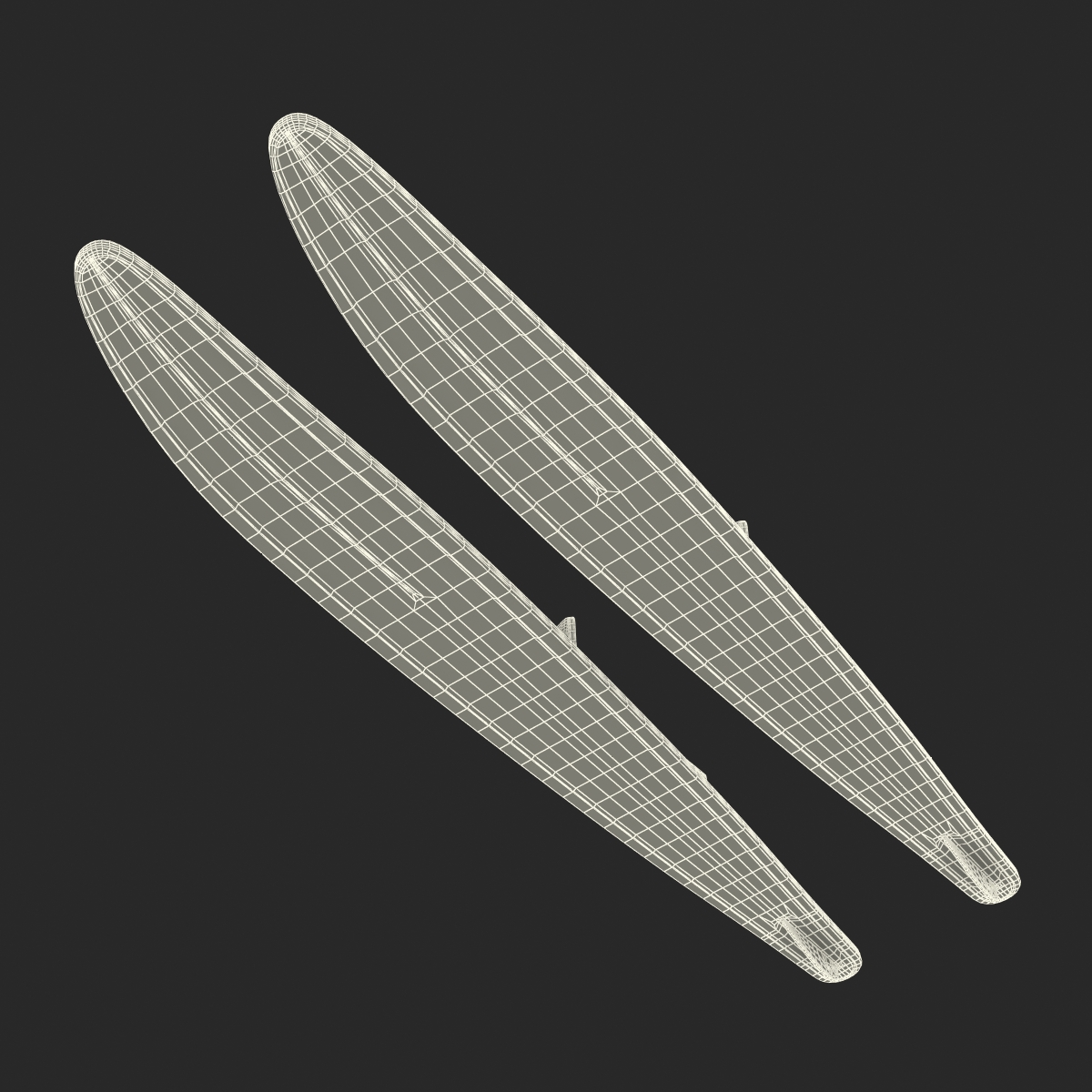 Waterskis HO 3D