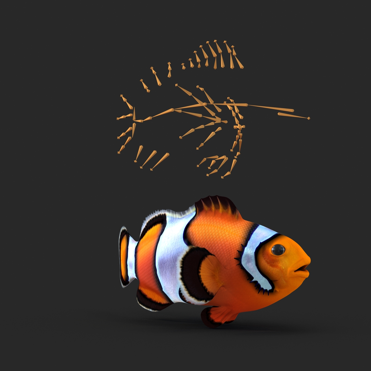 3D Clownfish Rigged