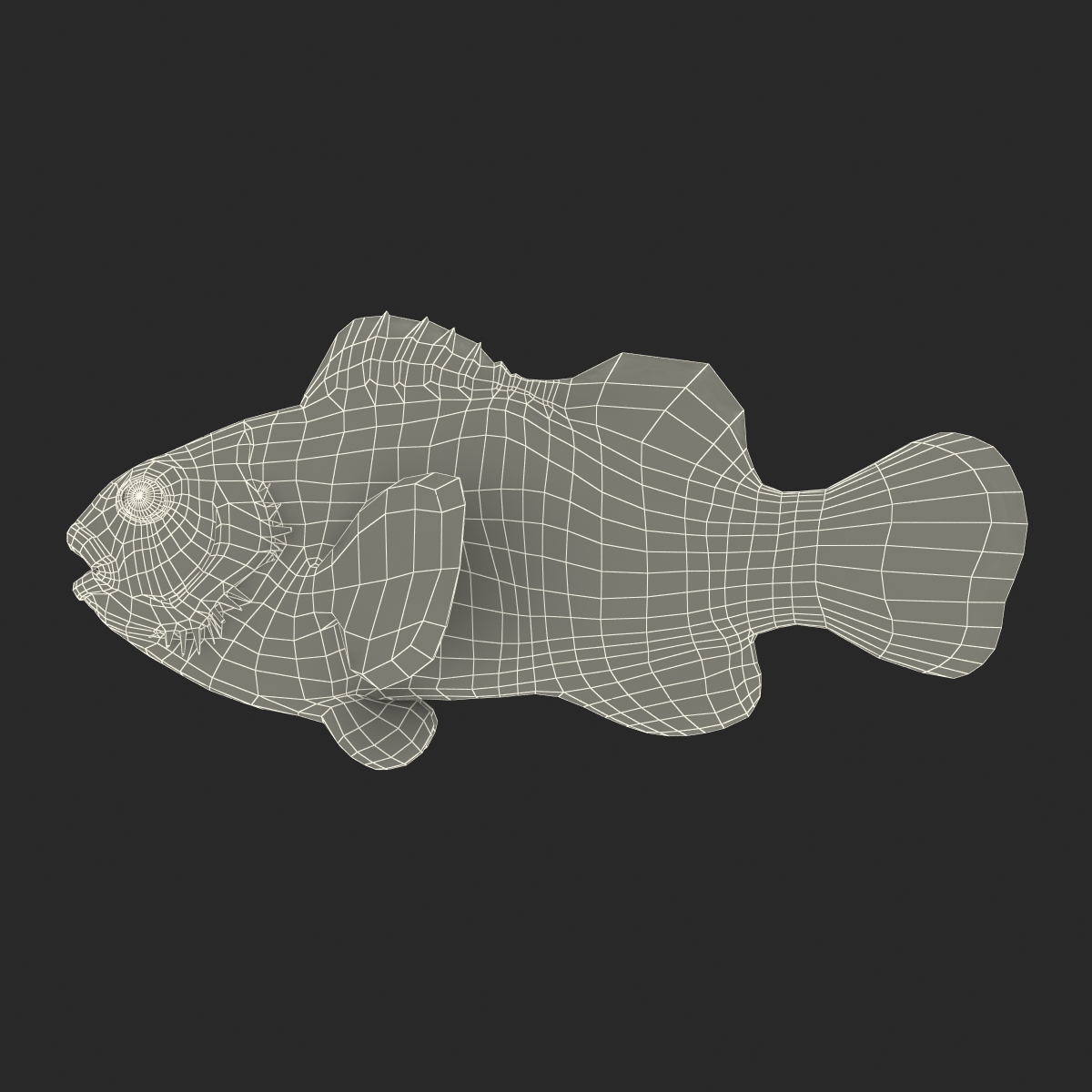 3D Clownfish Rigged