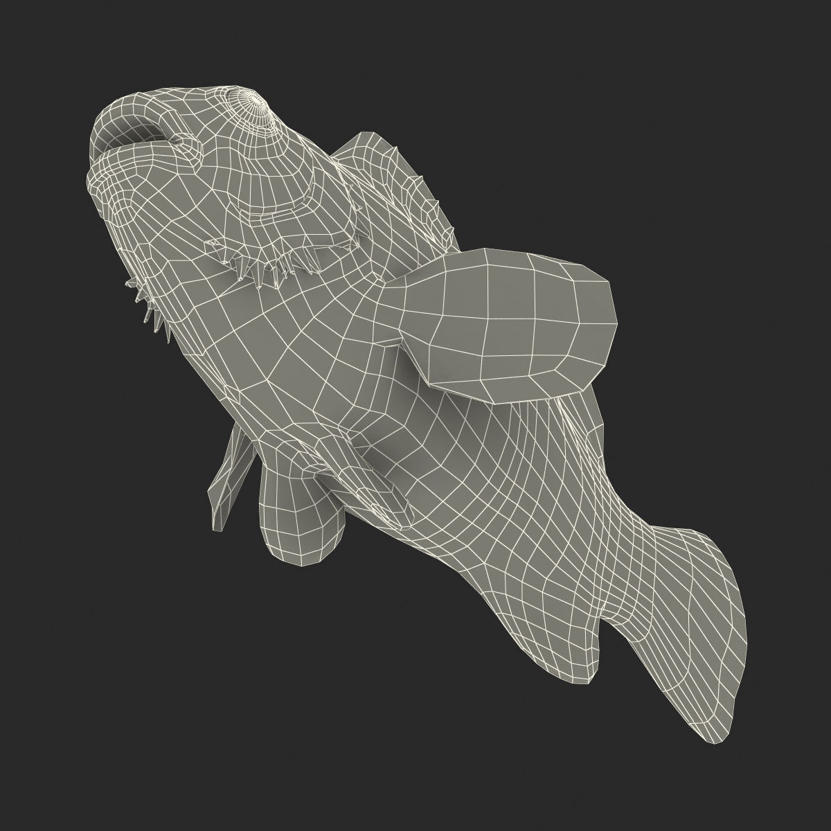 3D Clownfish Rigged