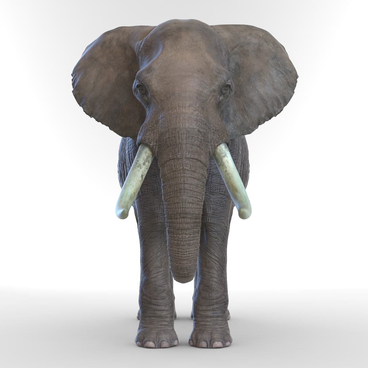 3D model Elephant