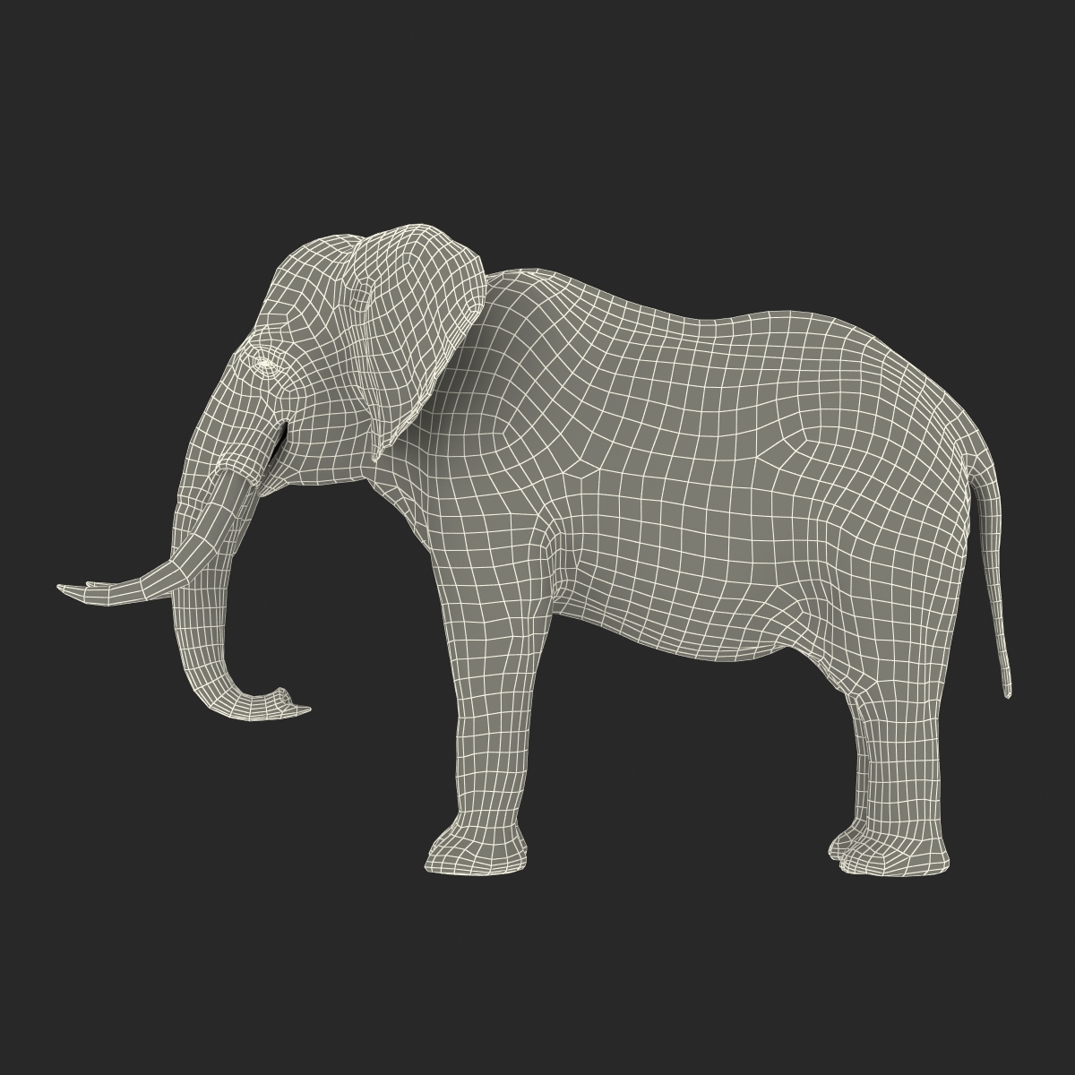 3D model Elephant