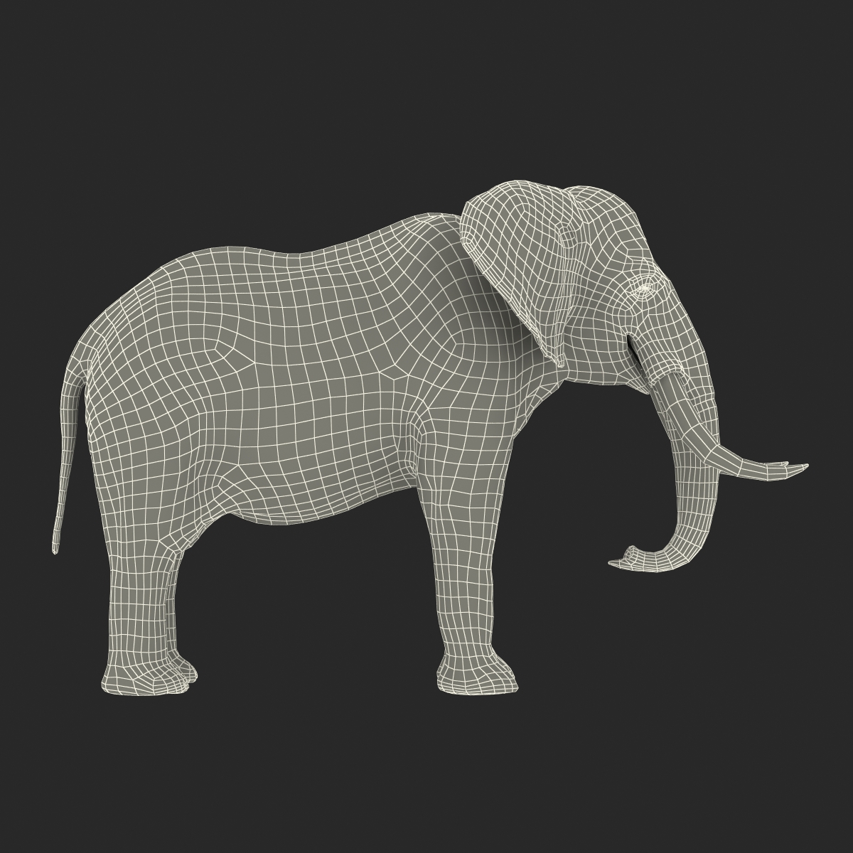 3D model Elephant