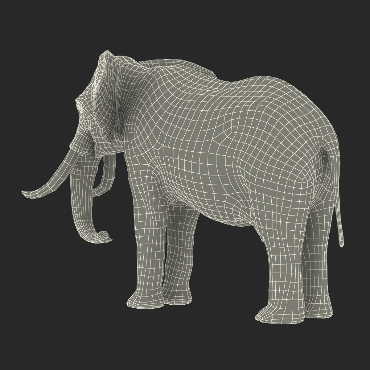 3D model Elephant