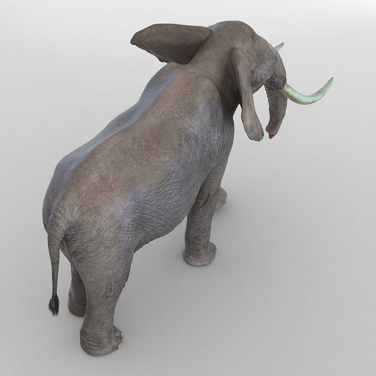 3D model Elephant Pose 2