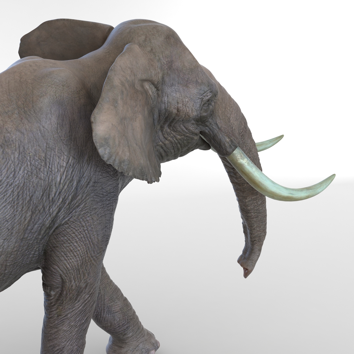 3D model Elephant Pose 2