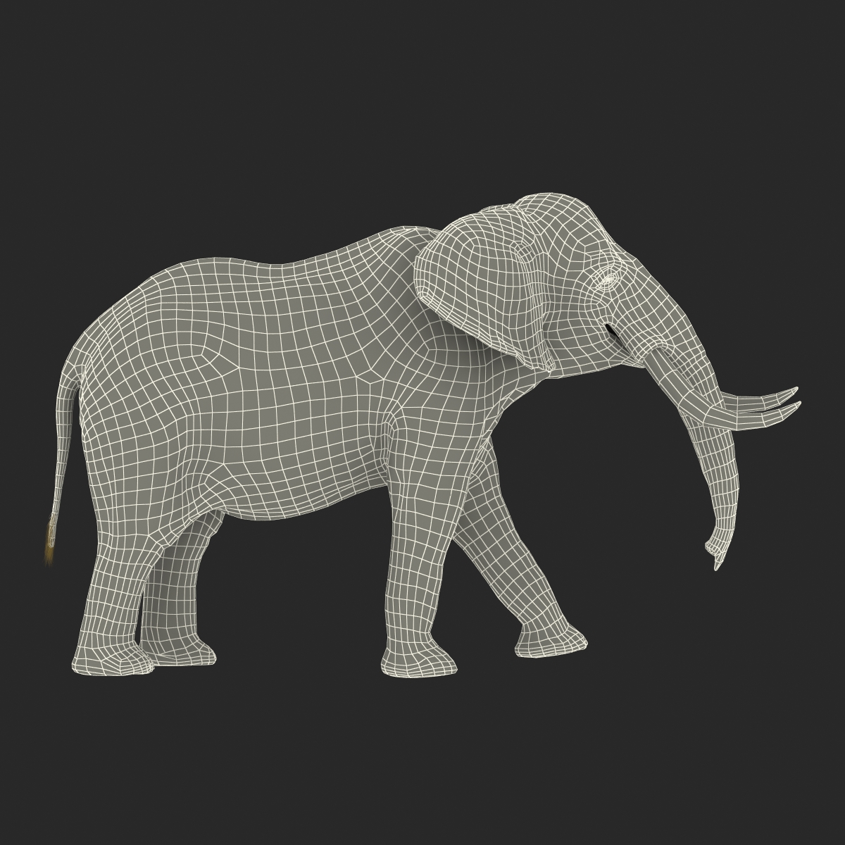 3D model Elephant Pose 2