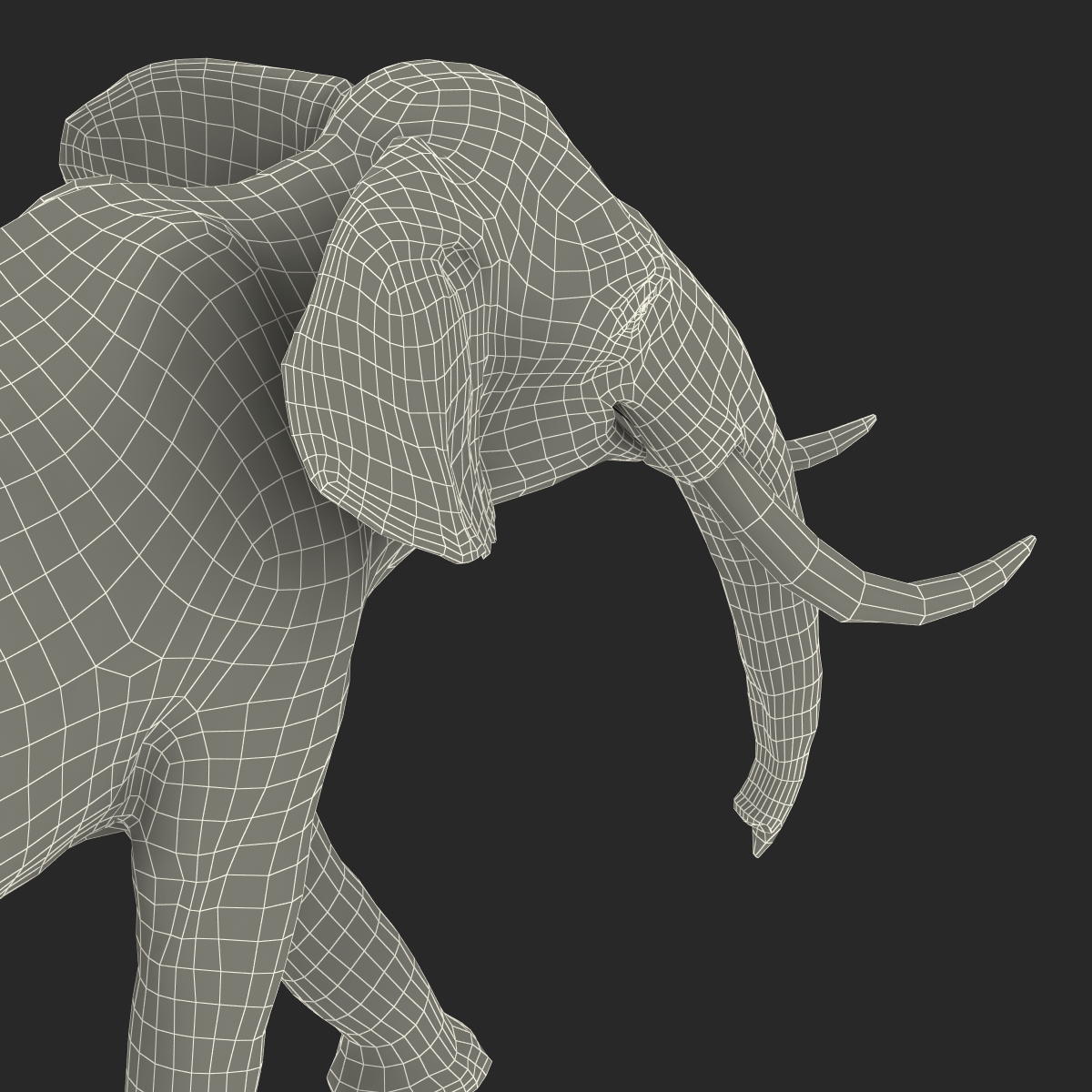 3D model Elephant Pose 2