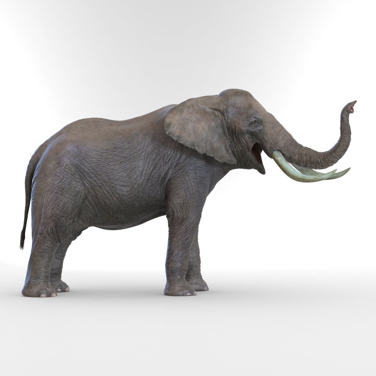 3D model Elephant Pose 3