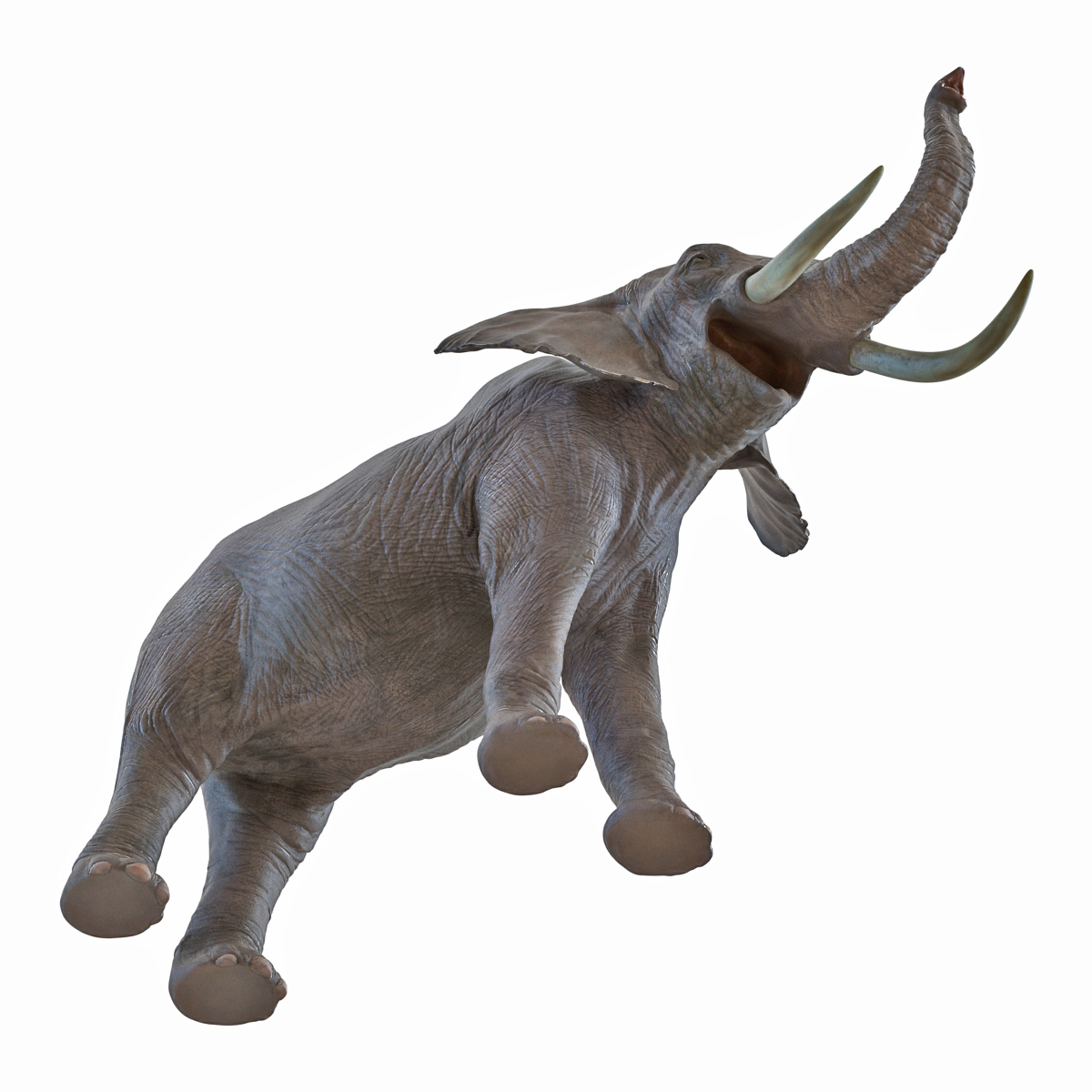 3D model Elephant Pose 3